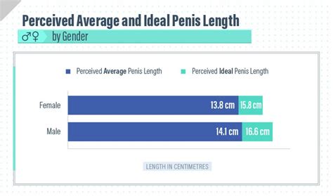 What The Perfect Penis Looks Like, According To Women